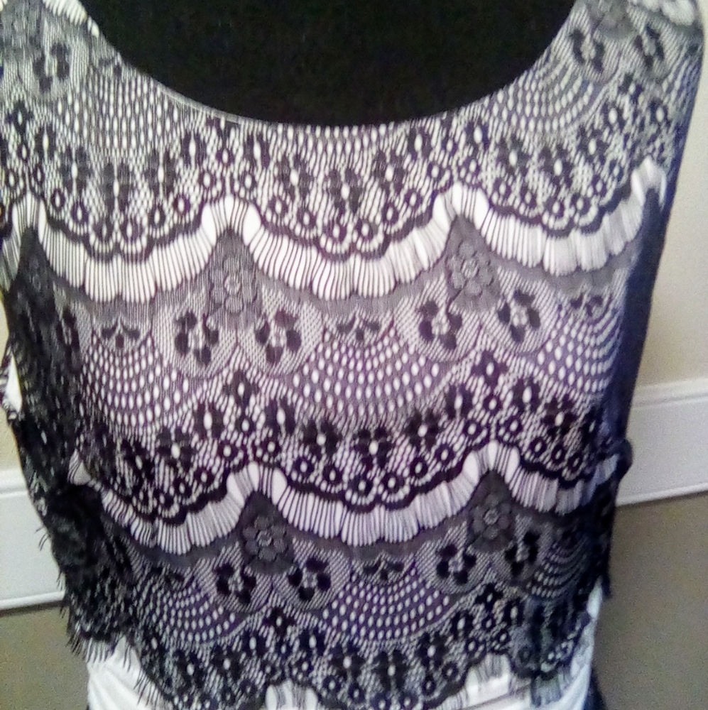 Lace Dress - Picture 2 of 4